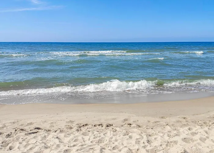 Lovely In With Wifi サルビノボ